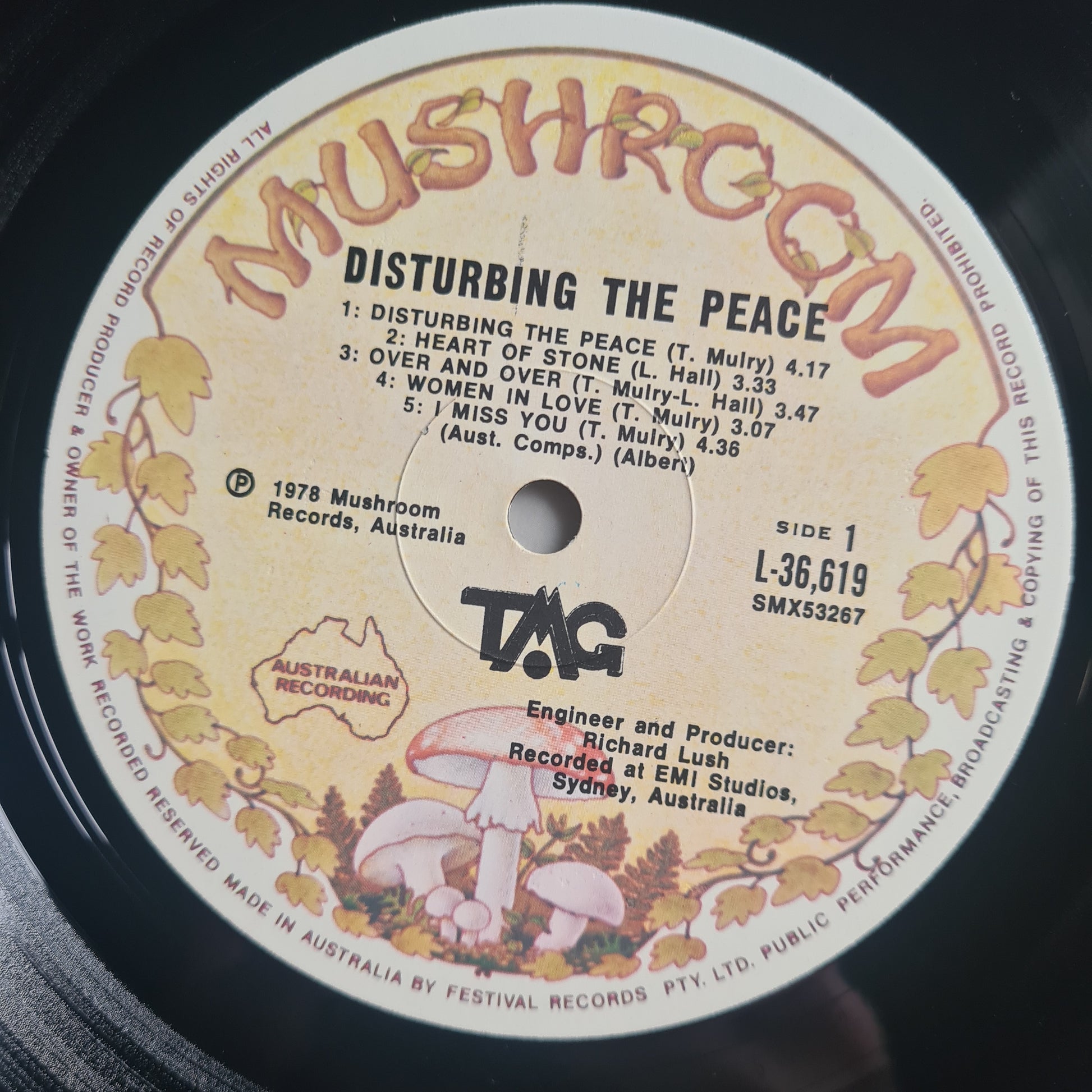 Ted Mulry Gang (T.M.G)– Disturbing The Peace - 1978 - Vinyl Record LP - Sound Hound Records