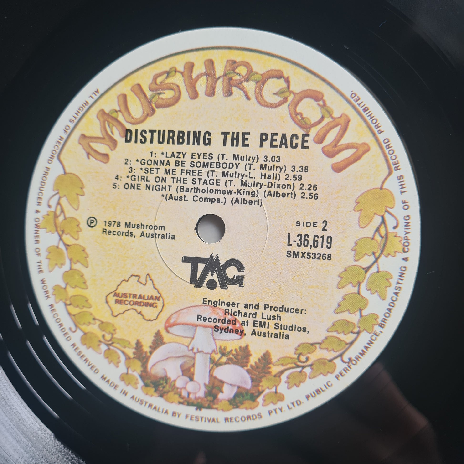 Ted Mulry Gang (T.M.G)– Disturbing The Peace - 1978 - Vinyl Record LP - Sound Hound Records