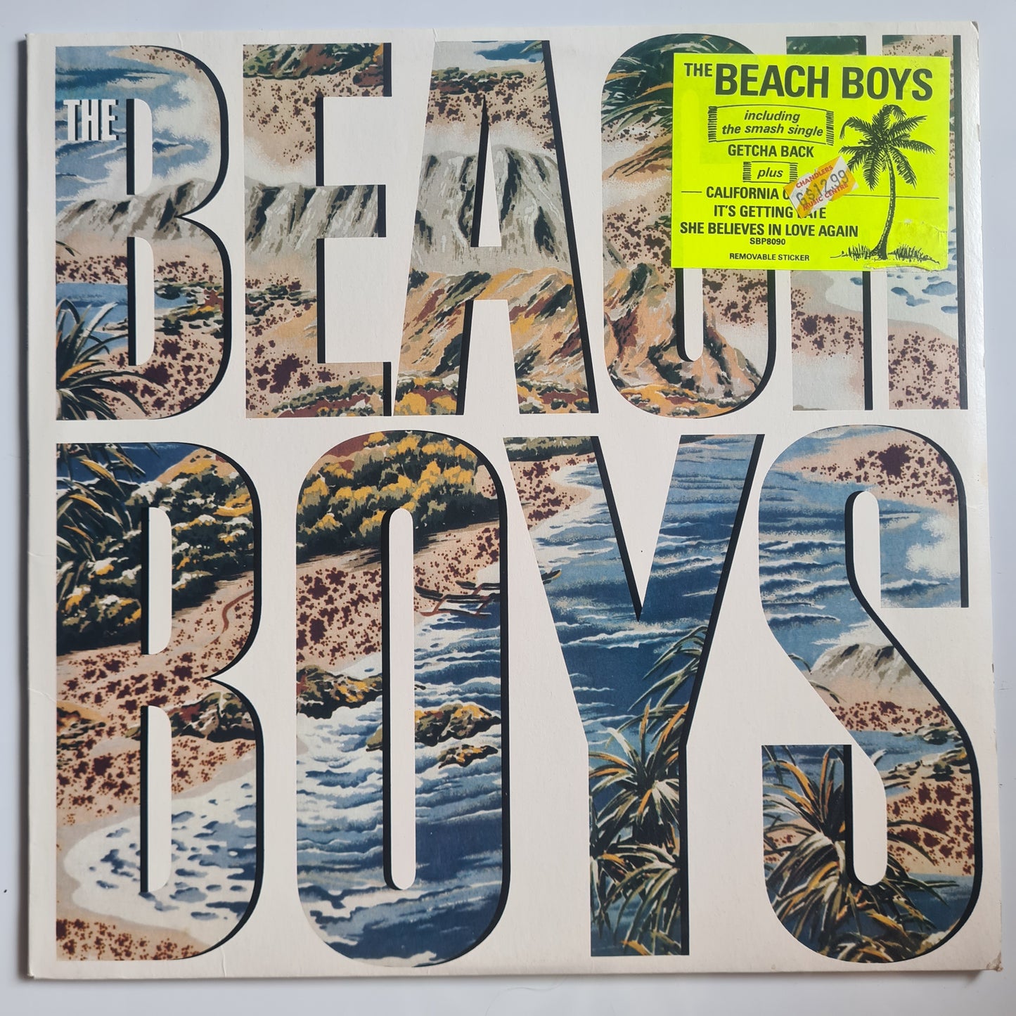 The Beach Boys – The Beach Boys - 1985 - Vinyl Record LP - Sound Hound Records