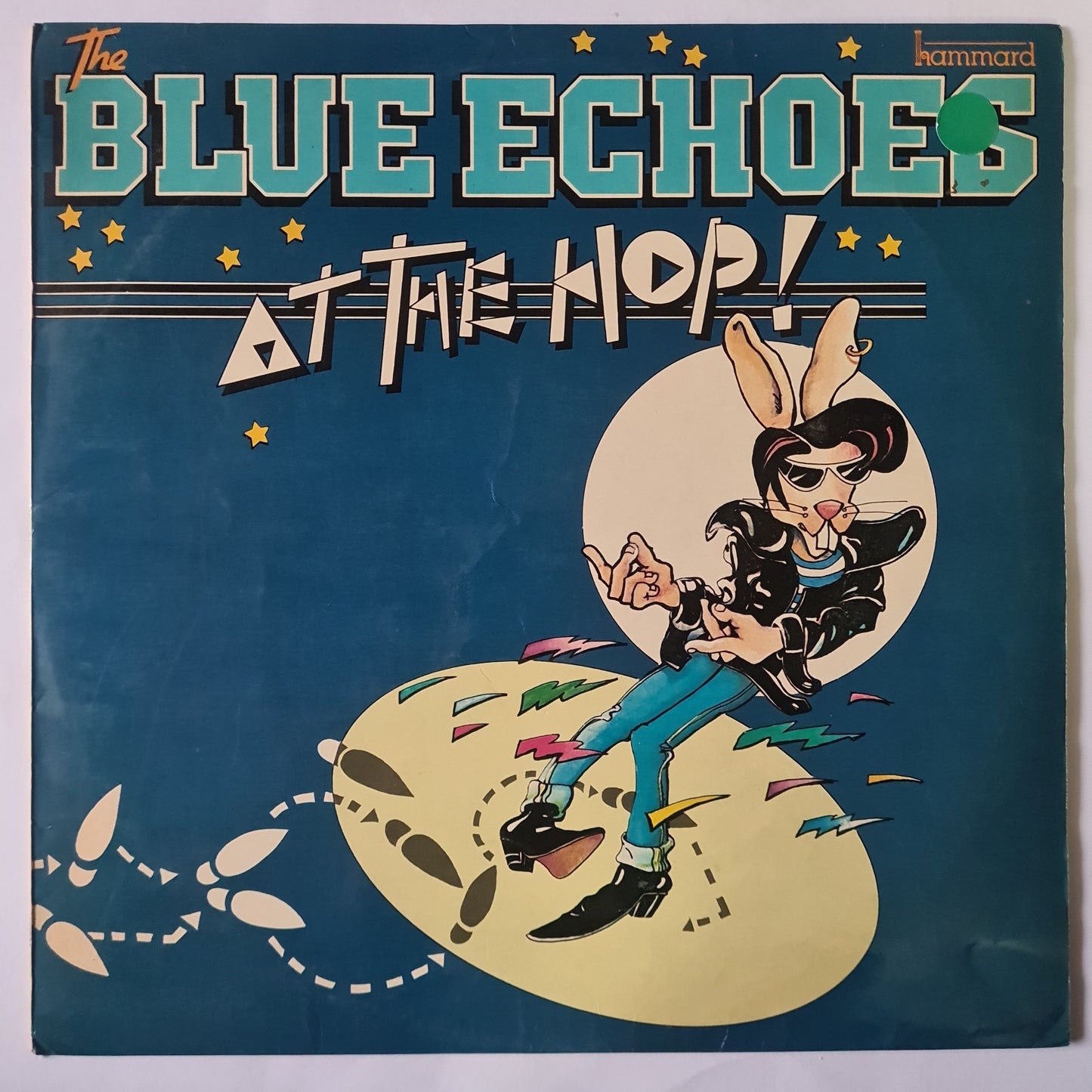The Blue Echoes – At The Hop - 1981 - Vinyl Record LP - Sound Hound Records