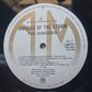 The Dingoes – Orphans Of The Storm - 1979 - Vinyl Record LP (EX) - Sound Hound Records