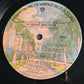 The Doobie Brothers – What Once Were Habits Are Now Vices - 1974 (US Pressing with poster) - Vinyl Record LP - Sound Hound Records
