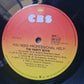 The Party Boys – You Need Professional Help - 1985 - Vinyl Record LP (Joe Walsh, Kevin Borich , etc) - Sound Hound Records