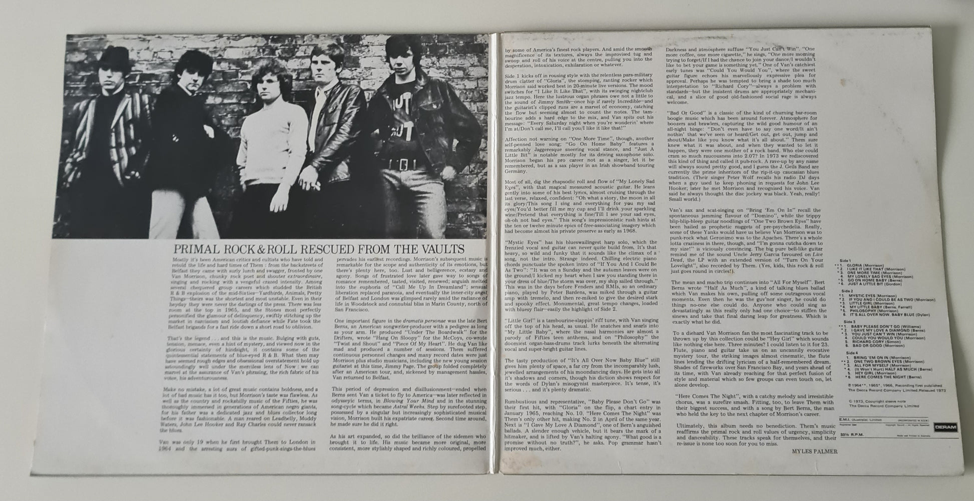 Them – Featuring Van Morrison Lead Singer - 1972 - Vinyl Record 2LP - Sound Hound Records
