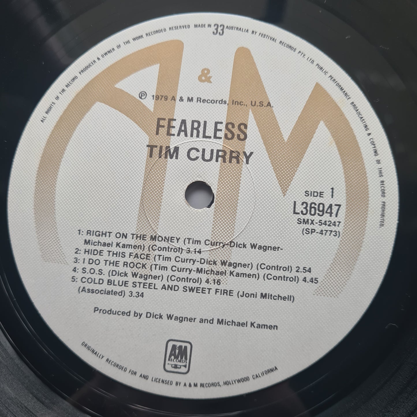 Tim Curry – Fearless - 1979 - Vinyl Record LP - Sound Hound Records