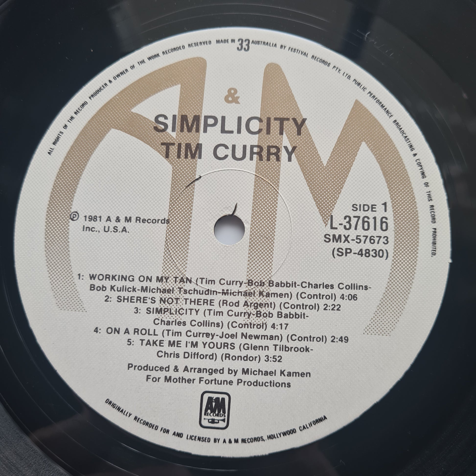 Tim Curry – Simplicity - 1981 - Vinyl Record LP - Sound Hound Records