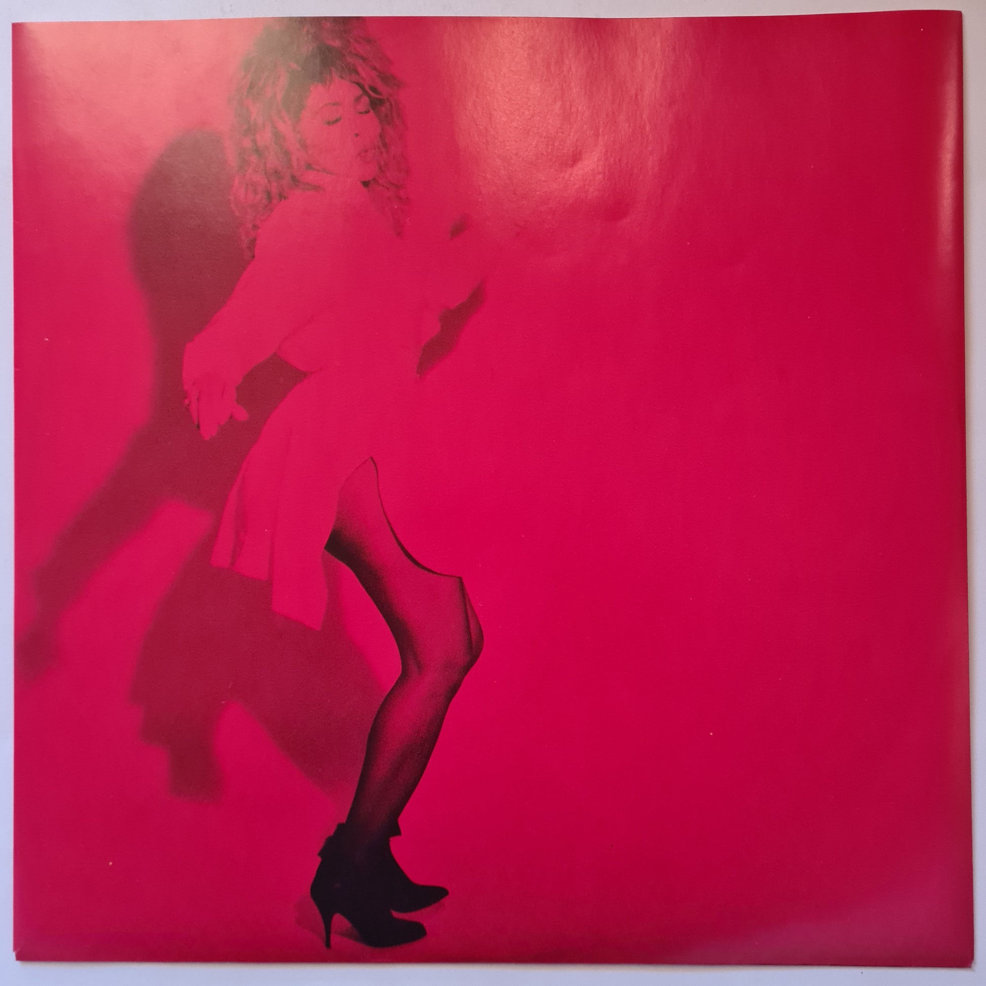 Tina Turner – Break Every Rule - 1986 - Vinyl Record LP - Sound Hound Records