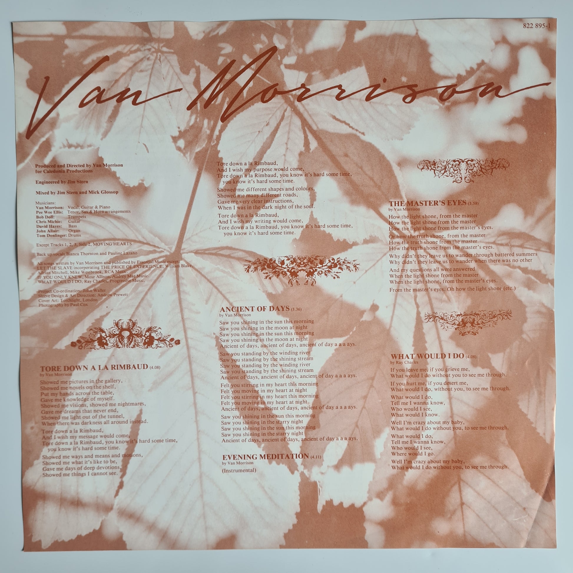 Van Morrison – A Sense Of Wonder - 1984 - Vinyl Record LP - Sound Hound Records