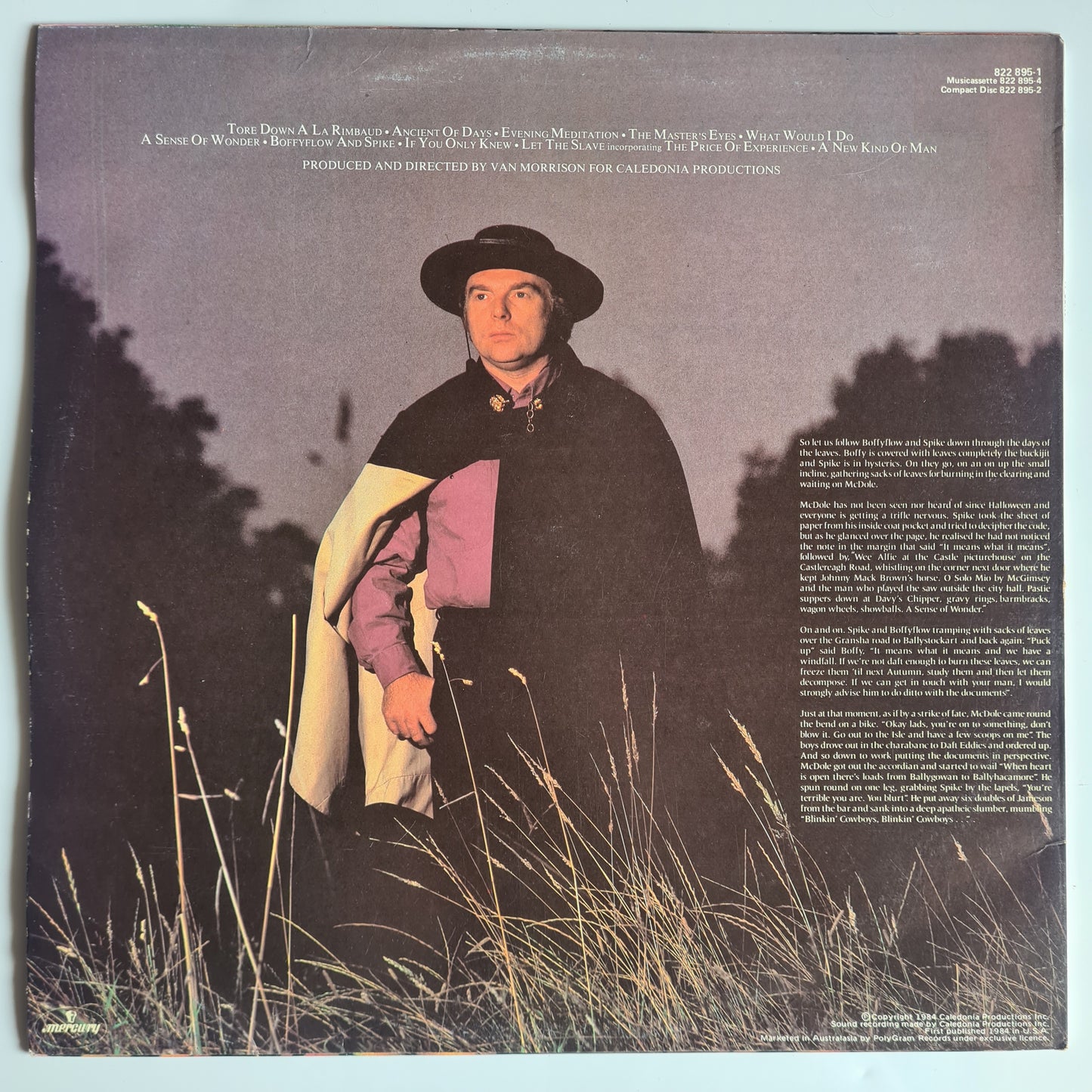 Van Morrison – A Sense Of Wonder - 1984 - Vinyl Record LP - Sound Hound Records