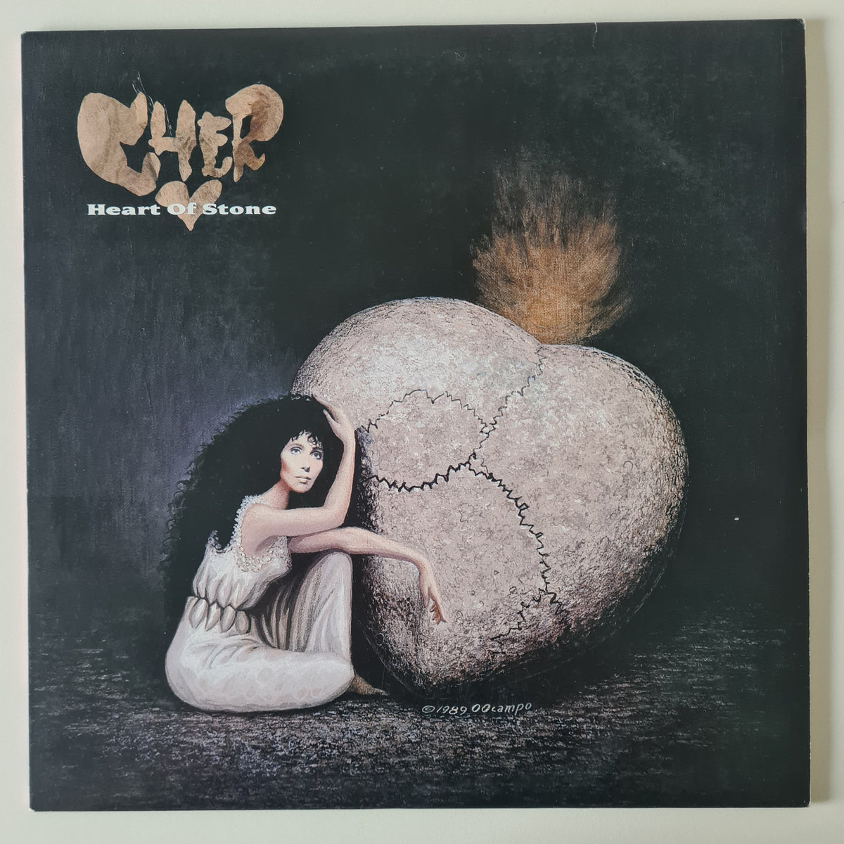 Cher – Heart Of Stone - 1989 (Rare Skull Cover Variation) - Vinyl Record LP