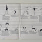 Various – Jane Fonda's Workout Record - 1982 - Vinyl Record 2LP