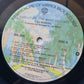 Taj Mahal – Evolution (The Most Recent) - 1978 (USA Pressing) - Vinyl Record LP