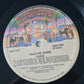 Cher – Take Me Home - 1979 - Vinyl Record LP