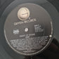 Cher – Heart Of Stone - 1989 (Rare Skull Cover Variation) - Vinyl Record LP