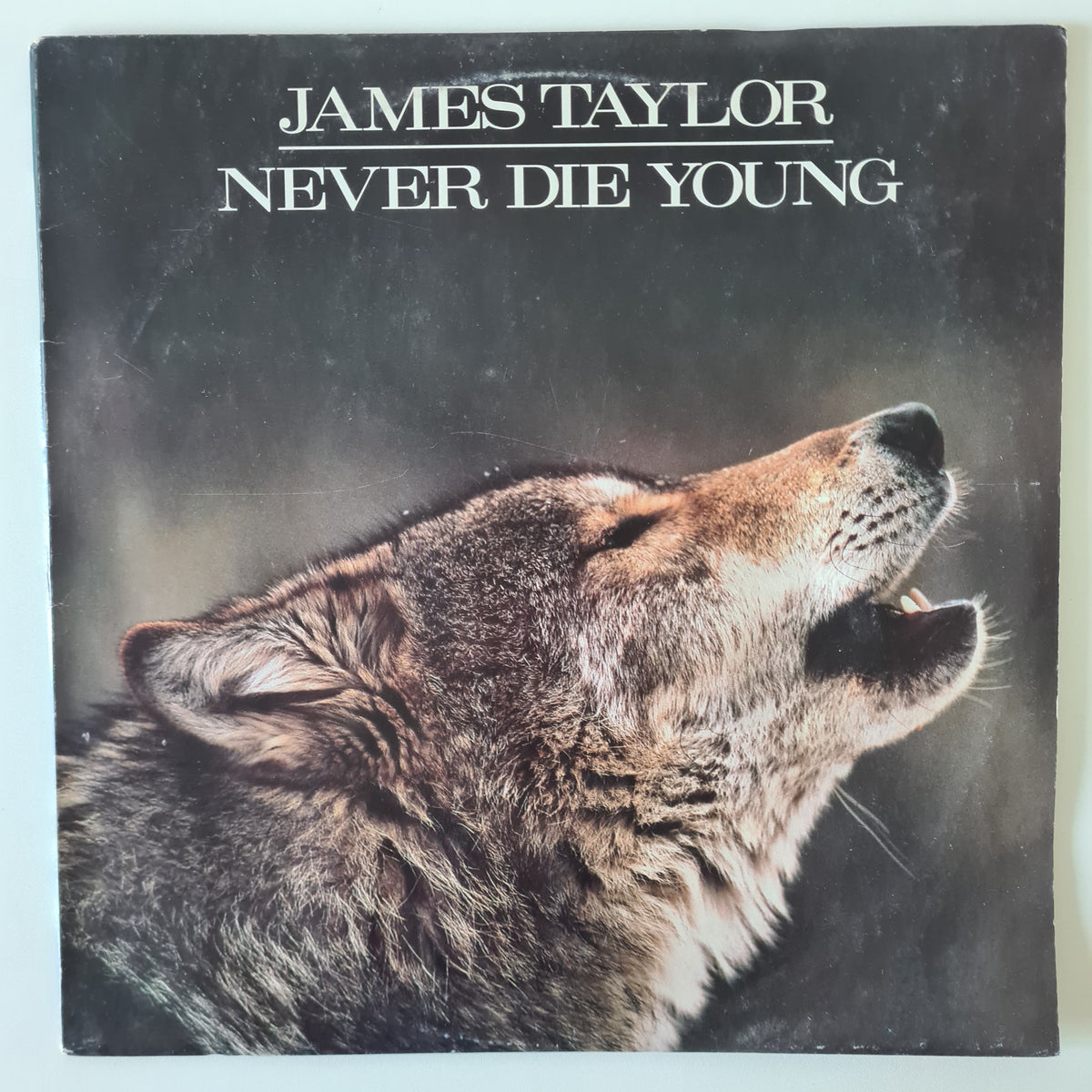 James Taylor – Never Die Young - 1988 - Vinyl Record LP