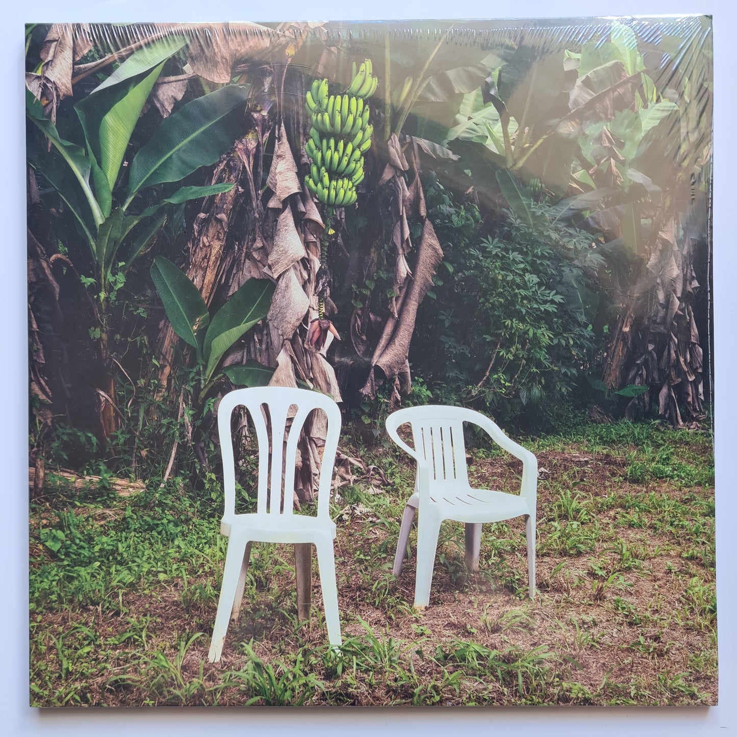 Bad Bunny – Debí Tirar Más Fotos - 2025 (2026 White Vinyl- USA Pressing) - Vinyl Record 2LP (Brand New Sealed) (Copy)