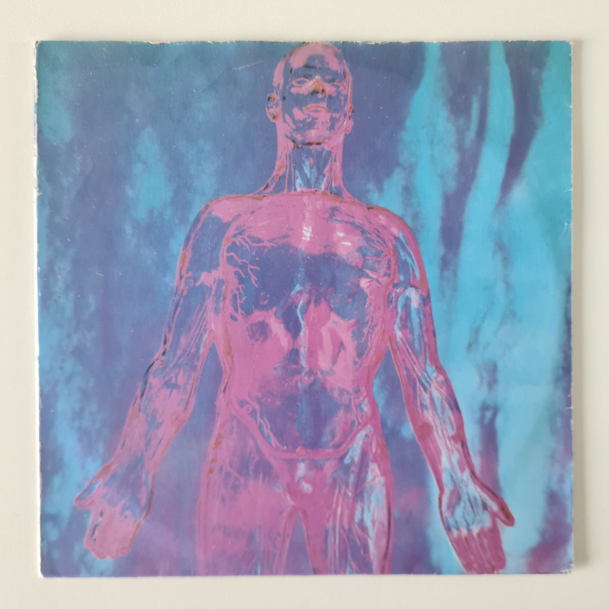 Nirvana – Sliver / Dive (Pink Translucent Vinyl) - 1990 (1990's Second USA Pressing) - Vinyl Record 7" 45RPM Single *RARE*