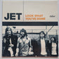 JET – Look What You've Done - 2004 (European Pressing) - Vinyl Record 12", Maxi-Single, Gatefold Sleeve
