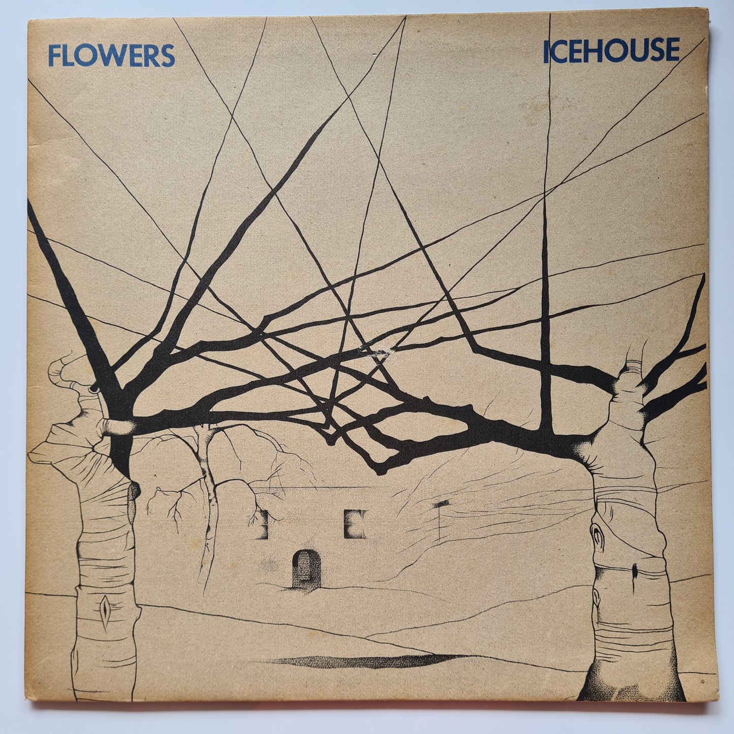 Flowers (Icehouse) – Icehouse - 1980 (Gatefold) - Vinyl Record LP