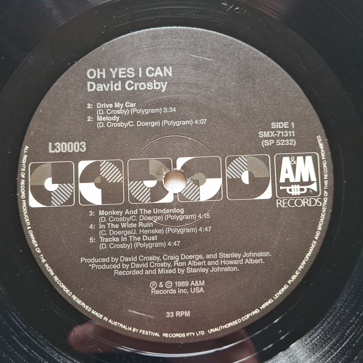 David Crosby – Oh Yes I Can - 1989 - Vinyl Record LP - Sound Hound Records