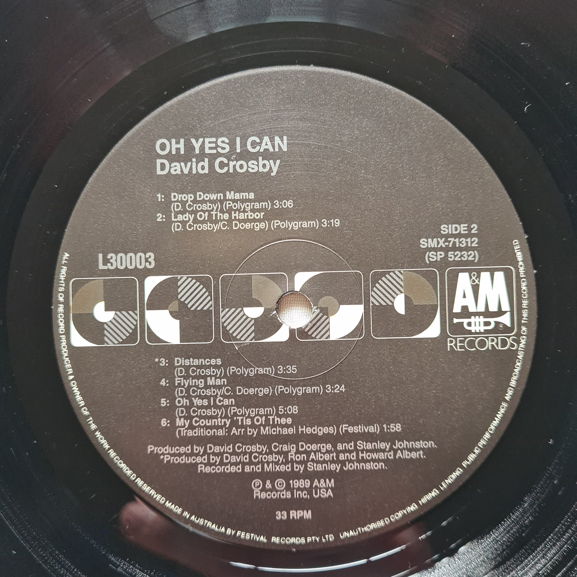 David Crosby – Oh Yes I Can - 1989 - Vinyl Record LP - Sound Hound Records